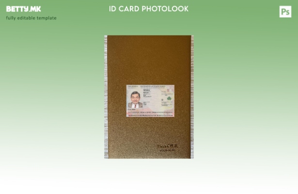 Чешка лична карта во модерен стил преден шаблон со фото изглед